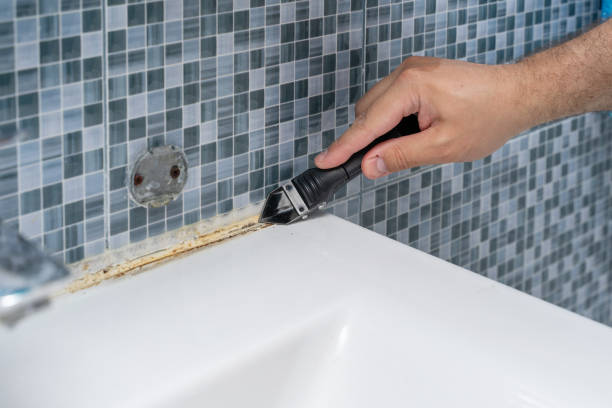 Best Insurance-Related Mold Remediation in Angleton, TX