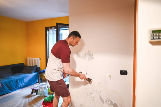 Professional Mold Remediation in Angleton, TX